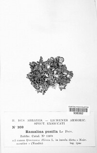 Image Associated With the Occurence